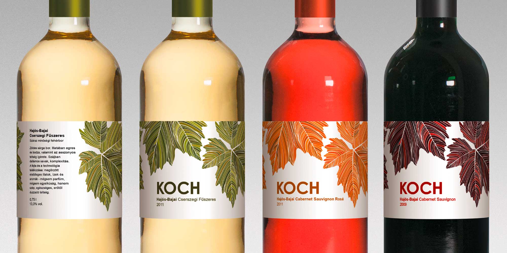 Koch1
