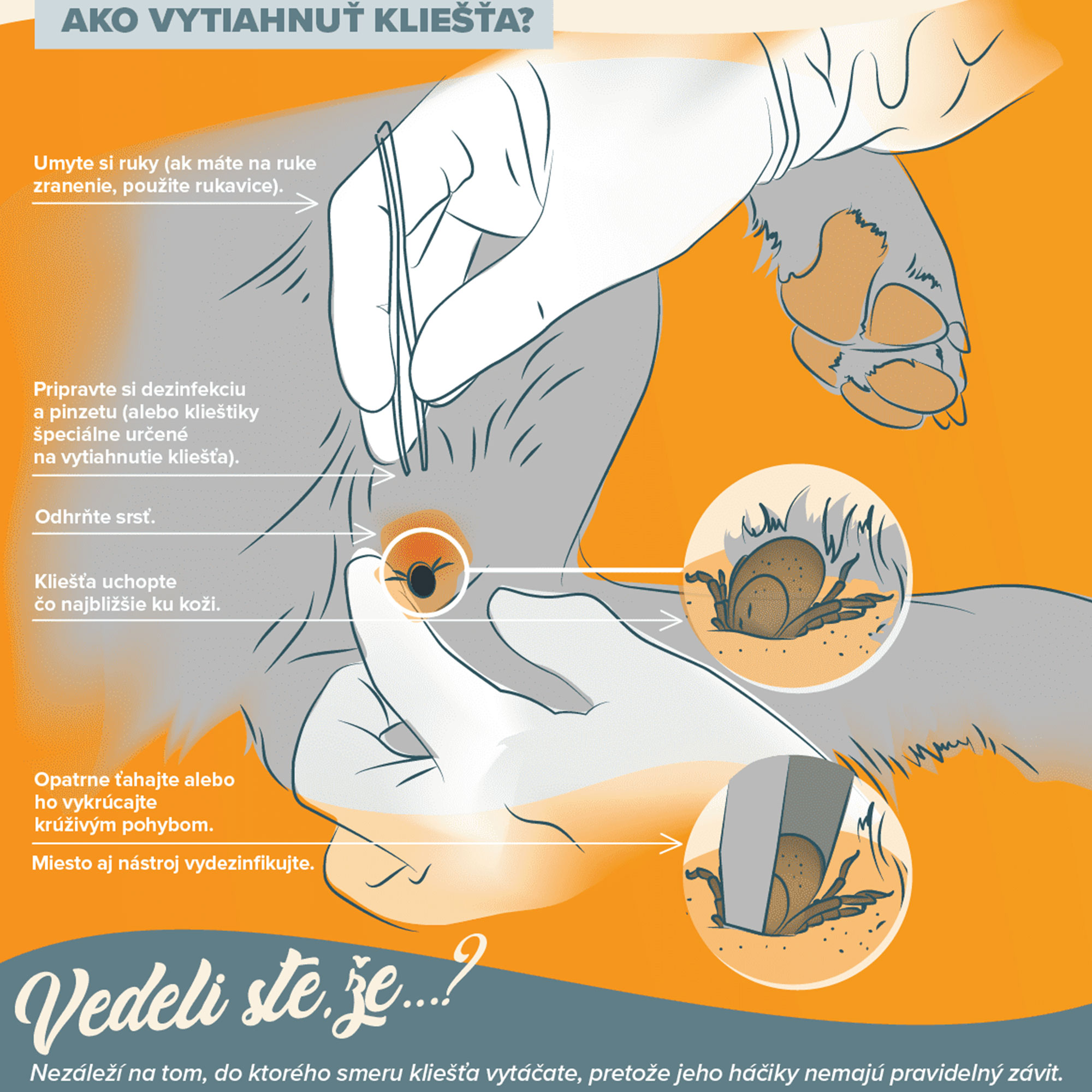 Vetcan_info4
